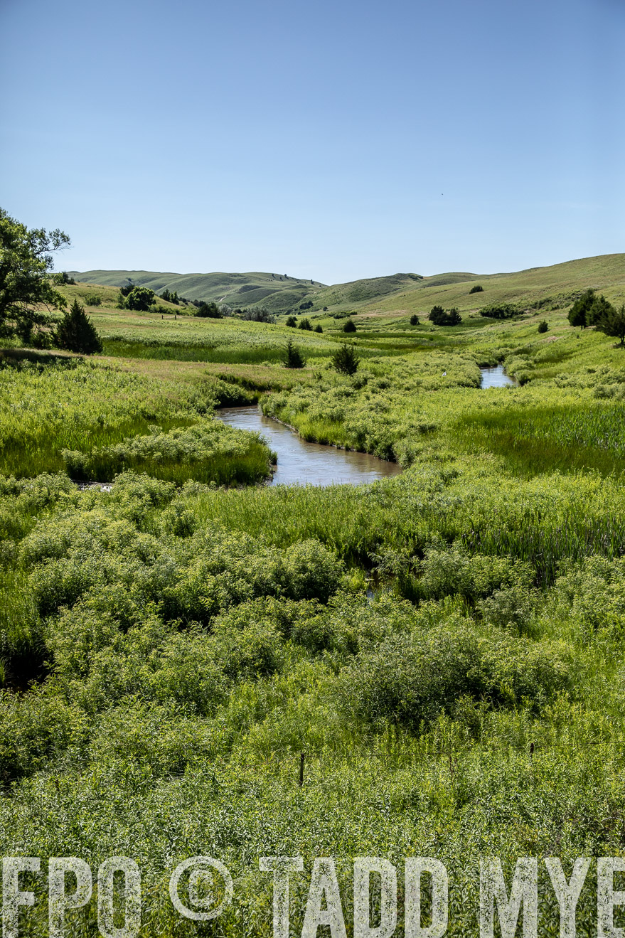 PP_TuckerRanch_NE_July2019-41953