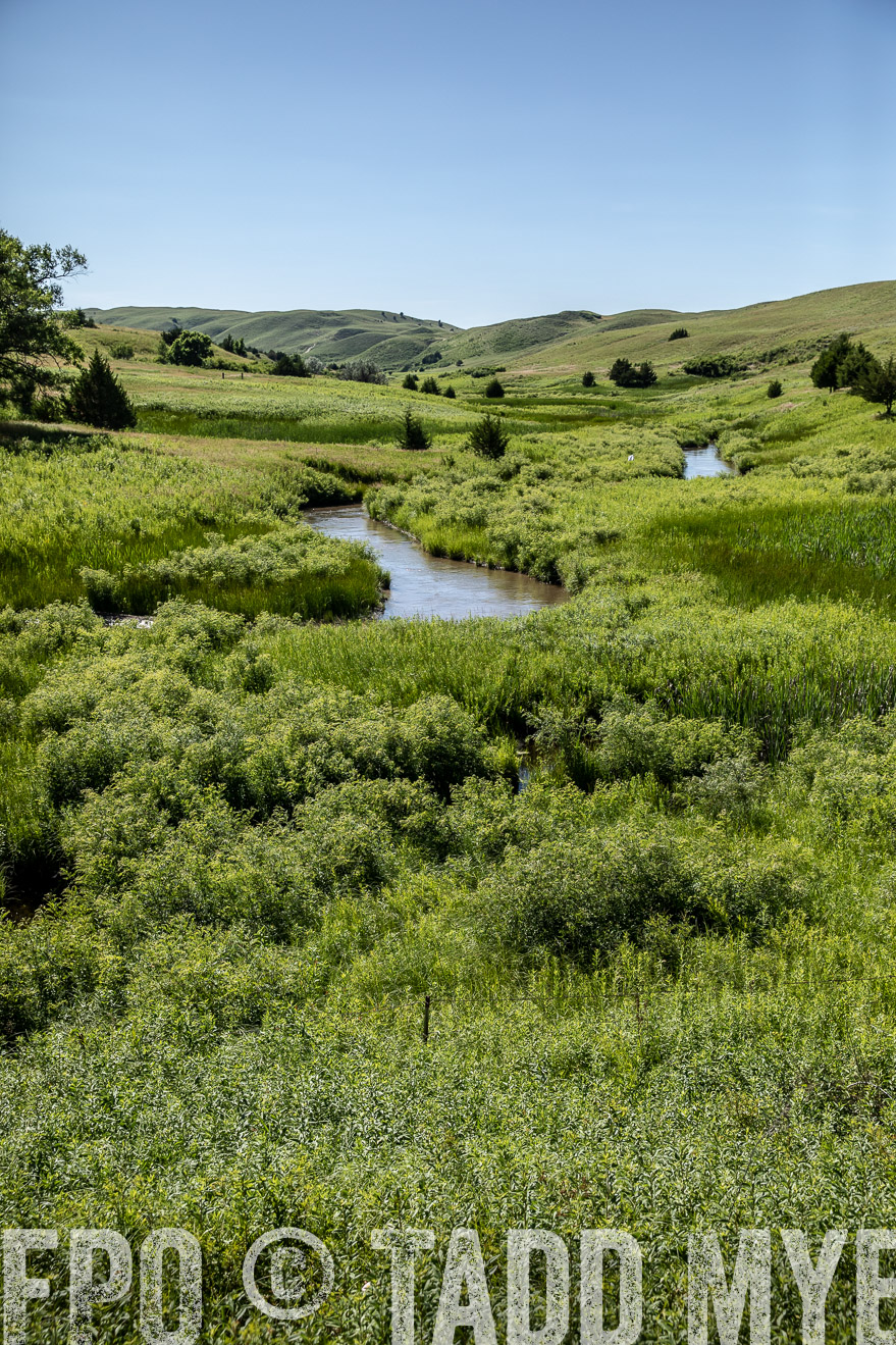 PP_TuckerRanch_NE_July2019-41954