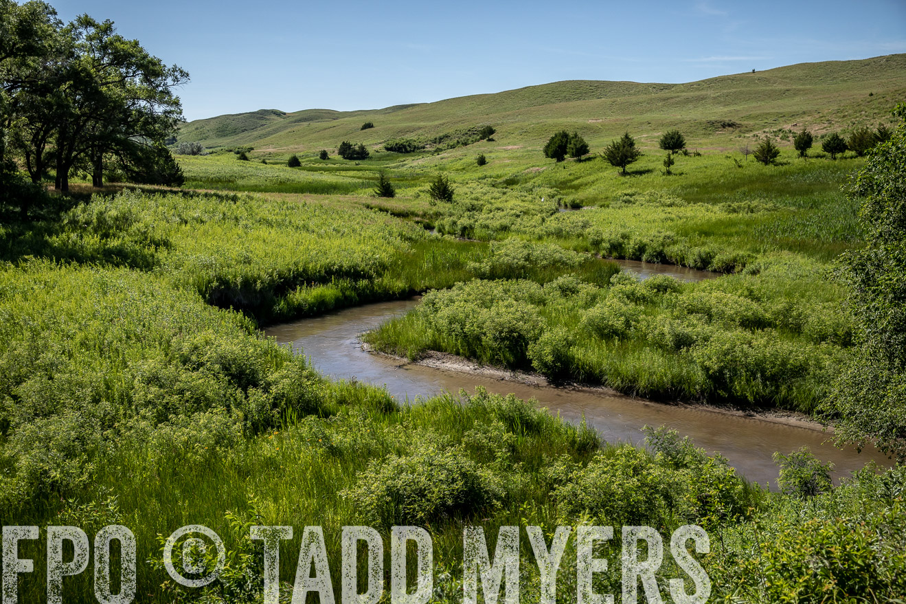 PP_TuckerRanch_NE_July2019-41955