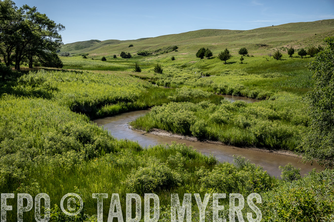 PP_TuckerRanch_NE_July2019-41956