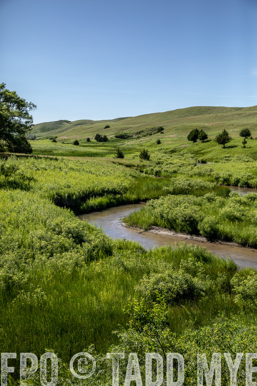 PP_TuckerRanch_NE_July2019-41957