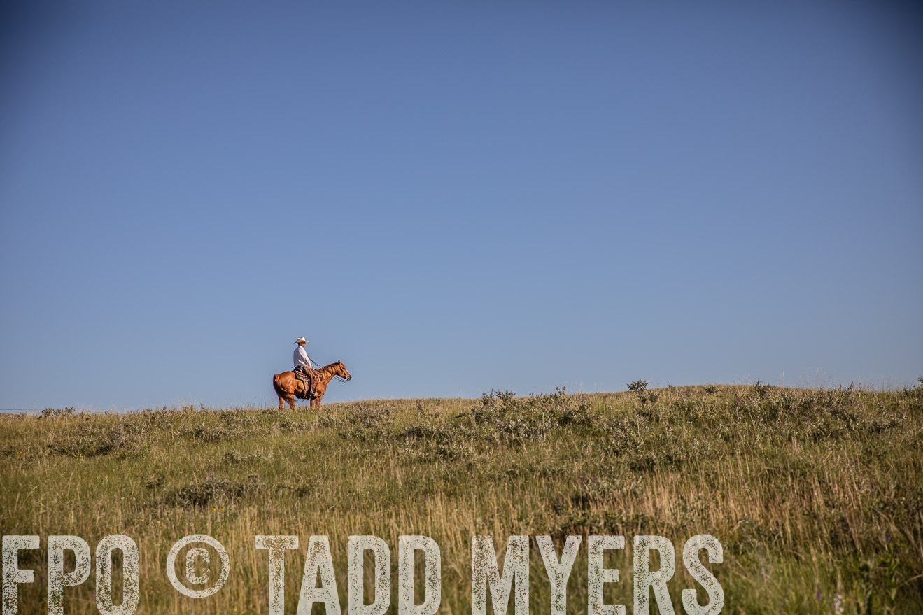 PP_TuckerRanch_NE_July2019-41971