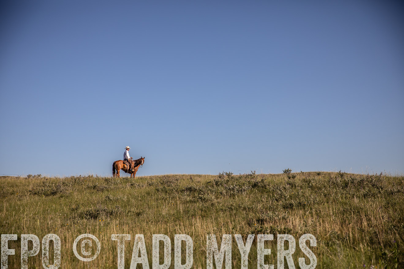 PP_TuckerRanch_NE_July2019-41974