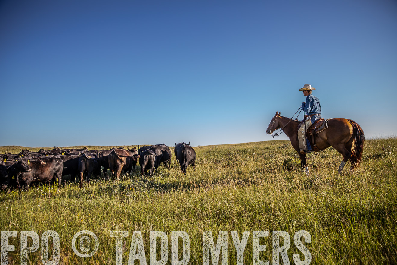 PP_TuckerRanch_NE_July2019-42005