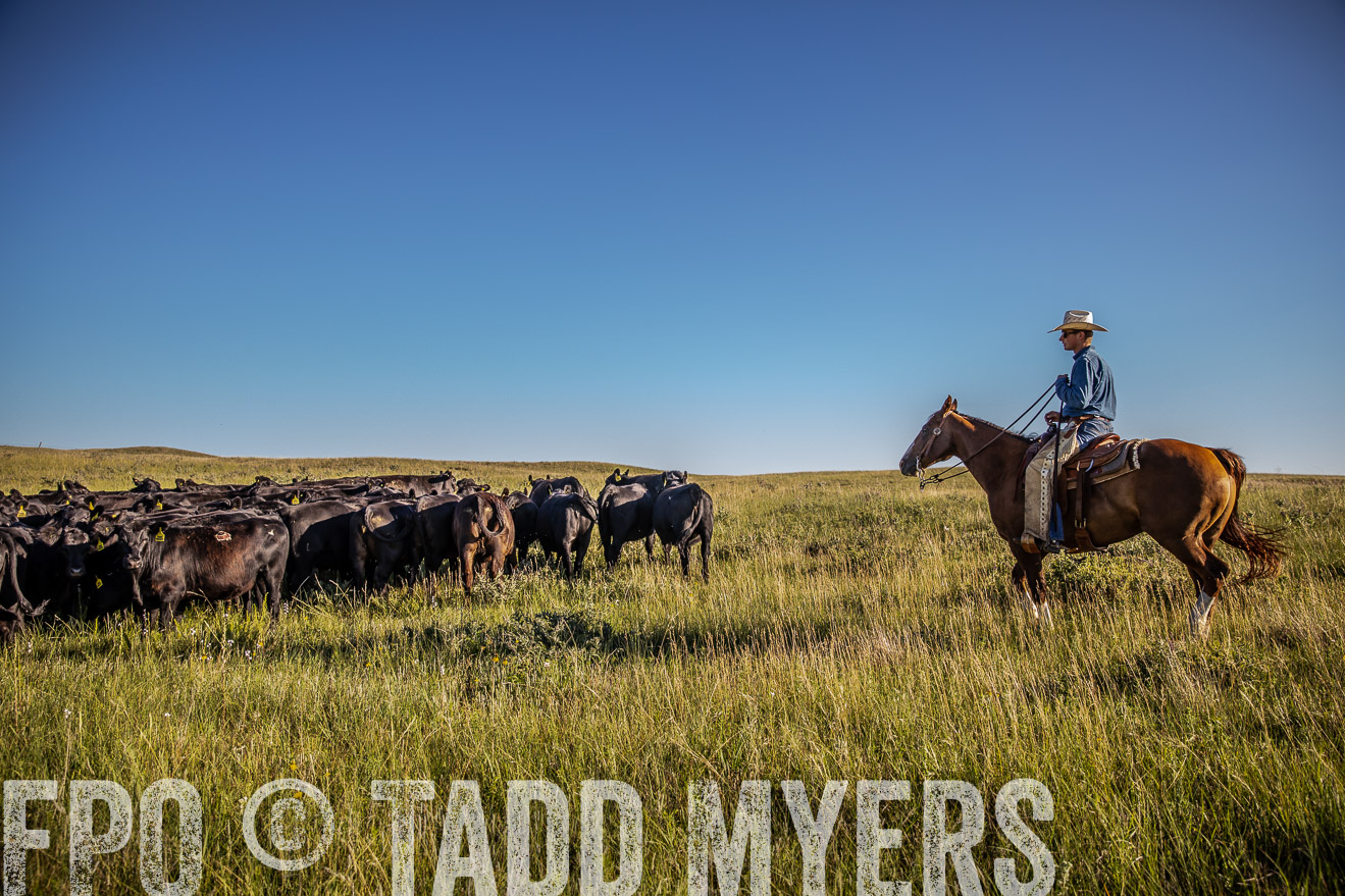PP_TuckerRanch_NE_July2019-42006