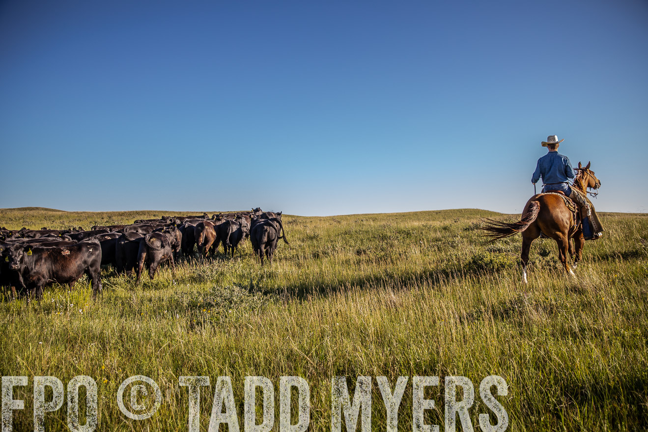 PP_TuckerRanch_NE_July2019-42008
