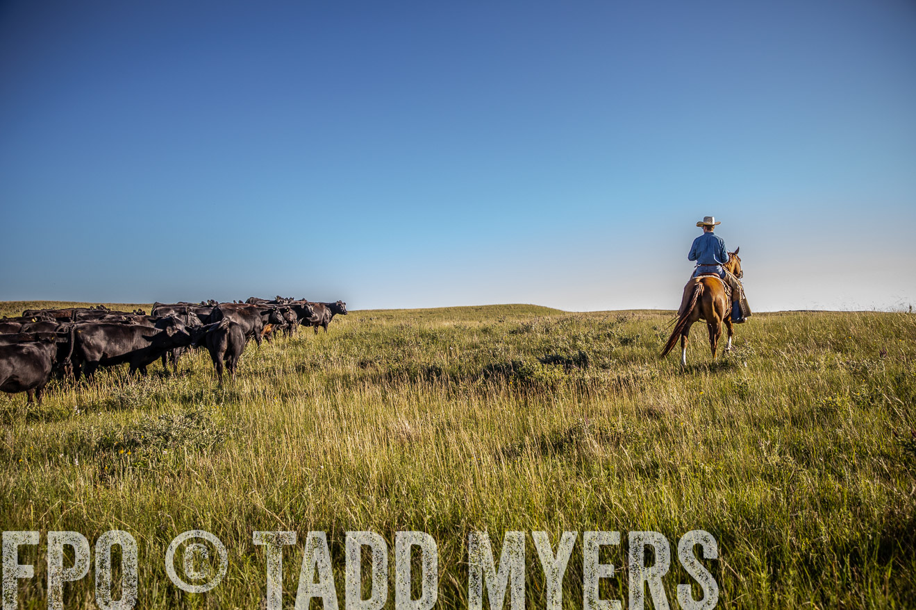 PP_TuckerRanch_NE_July2019-42010