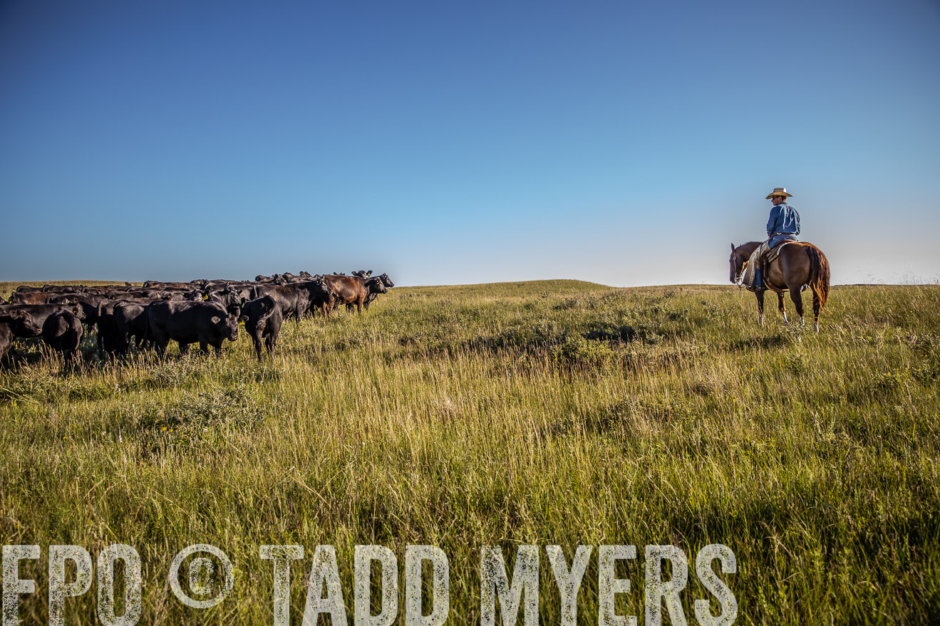 PP_TuckerRanch_NE_July2019-42014