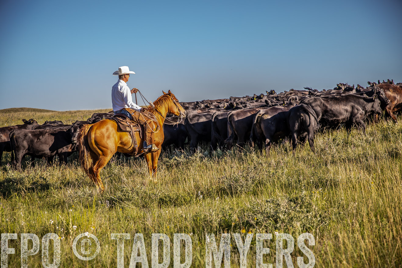 PP_TuckerRanch_NE_July2019-42017