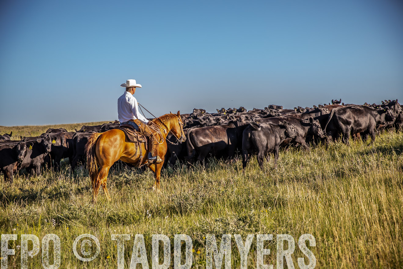 PP_TuckerRanch_NE_July2019-42019
