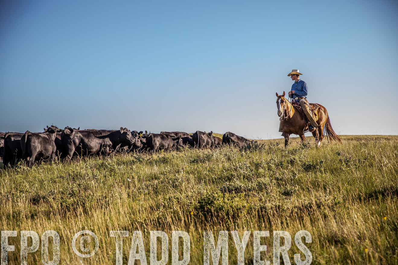 PP_TuckerRanch_NE_July2019-42020