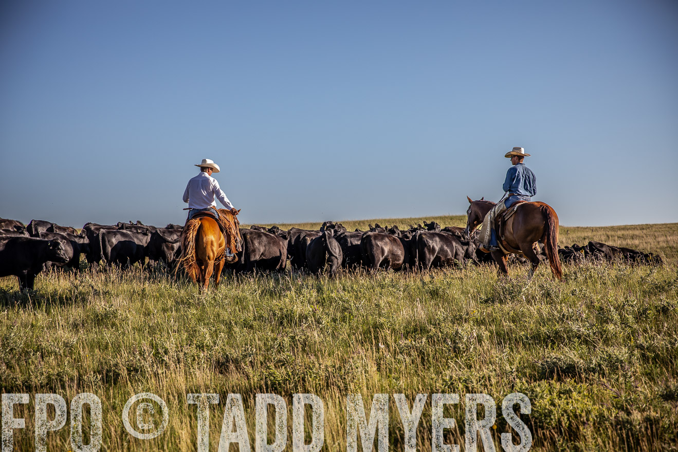 PP_TuckerRanch_NE_July2019-42024