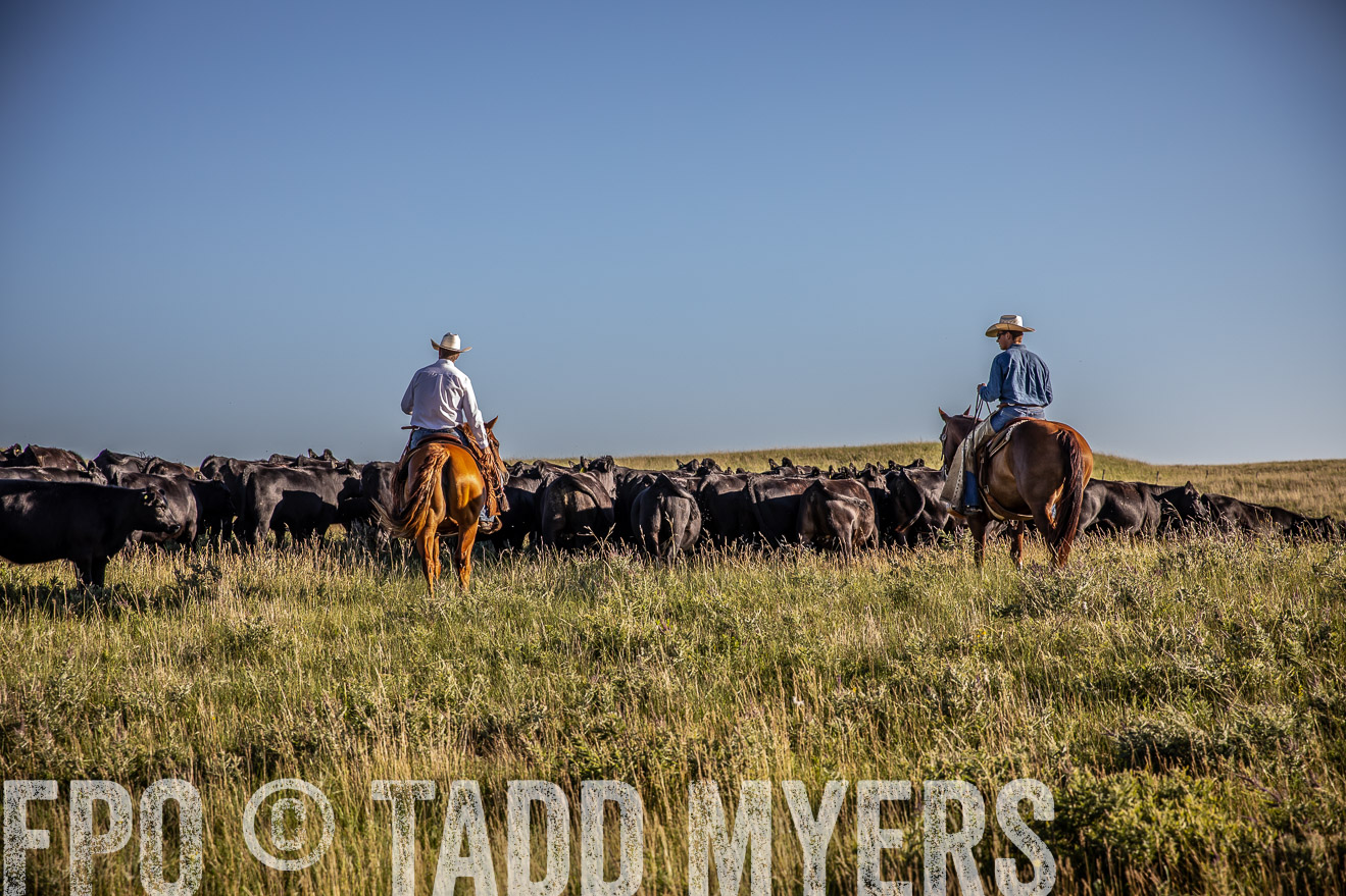 PP_TuckerRanch_NE_July2019-42025