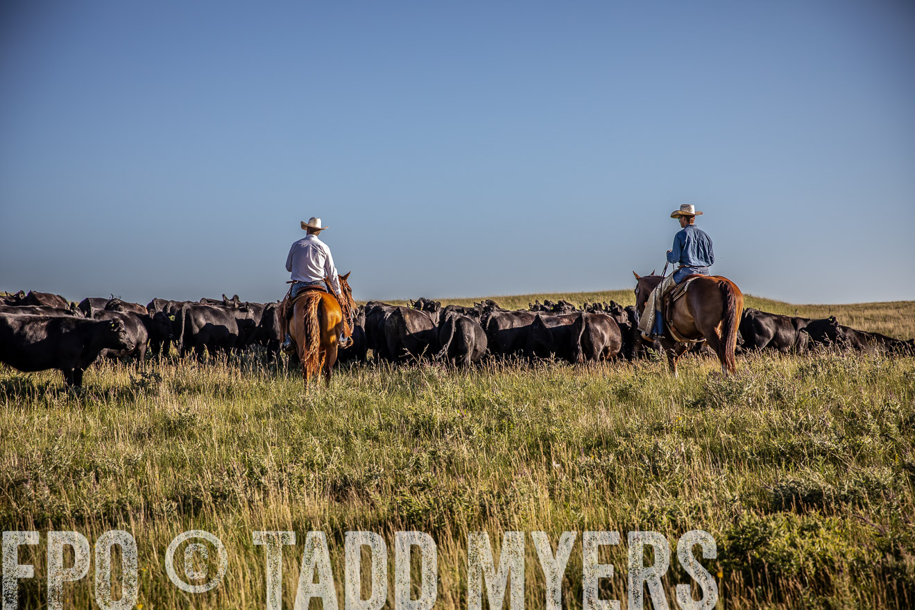 PP_TuckerRanch_NE_July2019-42026