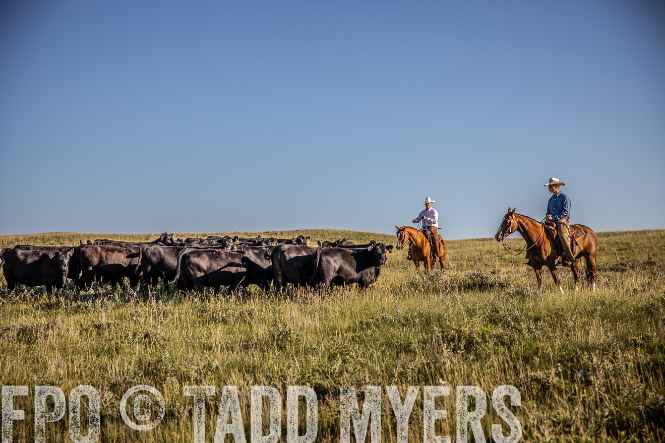 PP_TuckerRanch_NE_July2019-42030