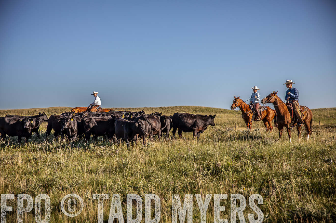 PP_TuckerRanch_NE_July2019-42033