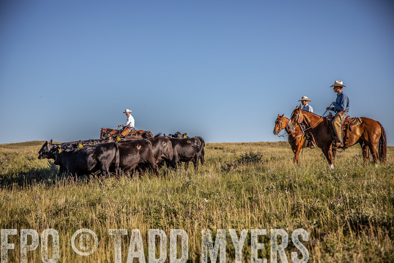 PP_TuckerRanch_NE_July2019-42037