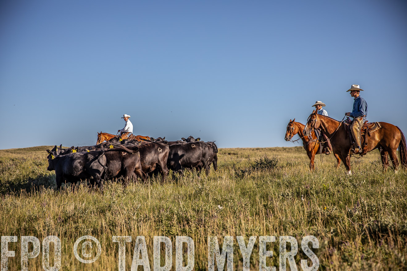 PP_TuckerRanch_NE_July2019-42038