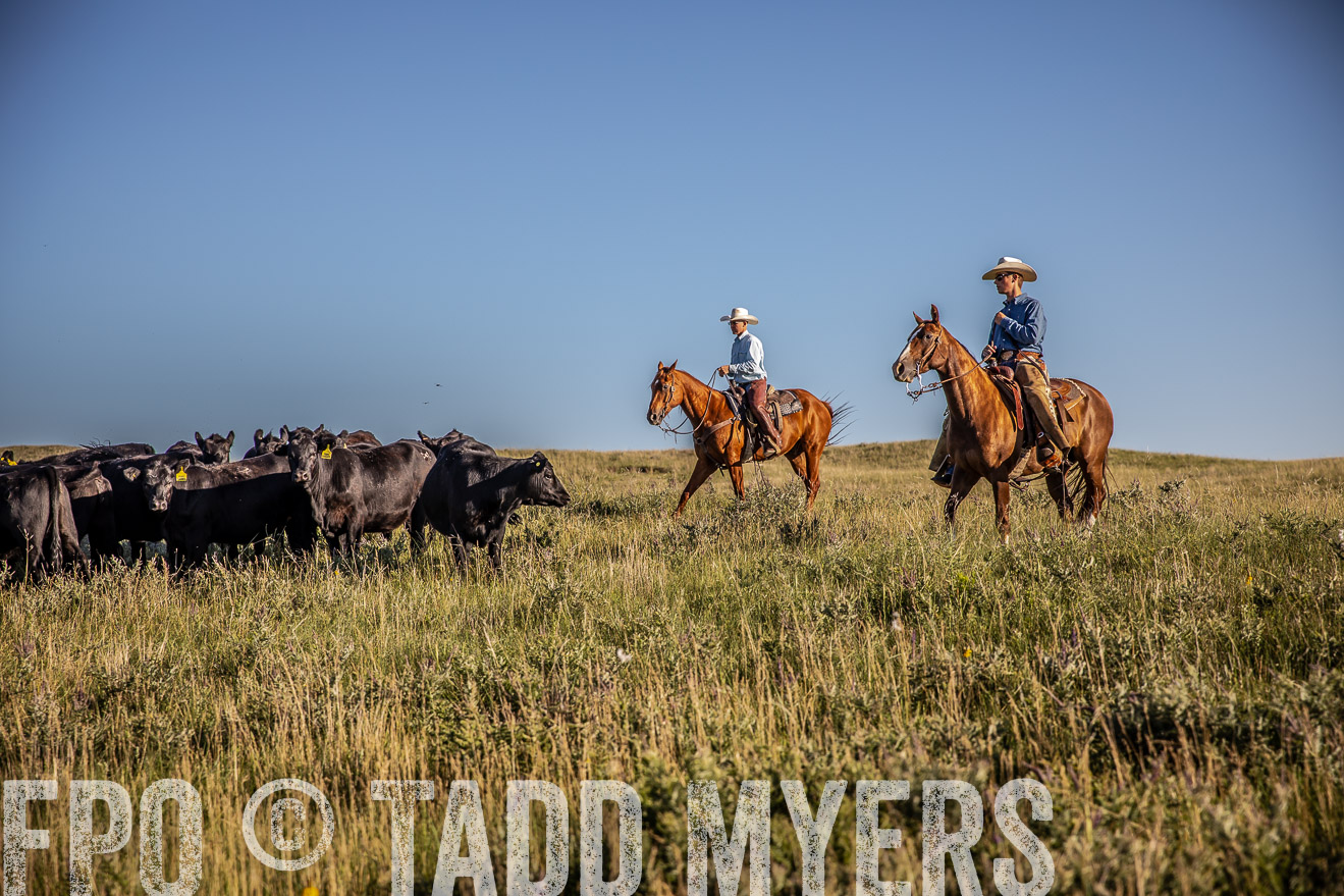 PP_TuckerRanch_NE_July2019-42040