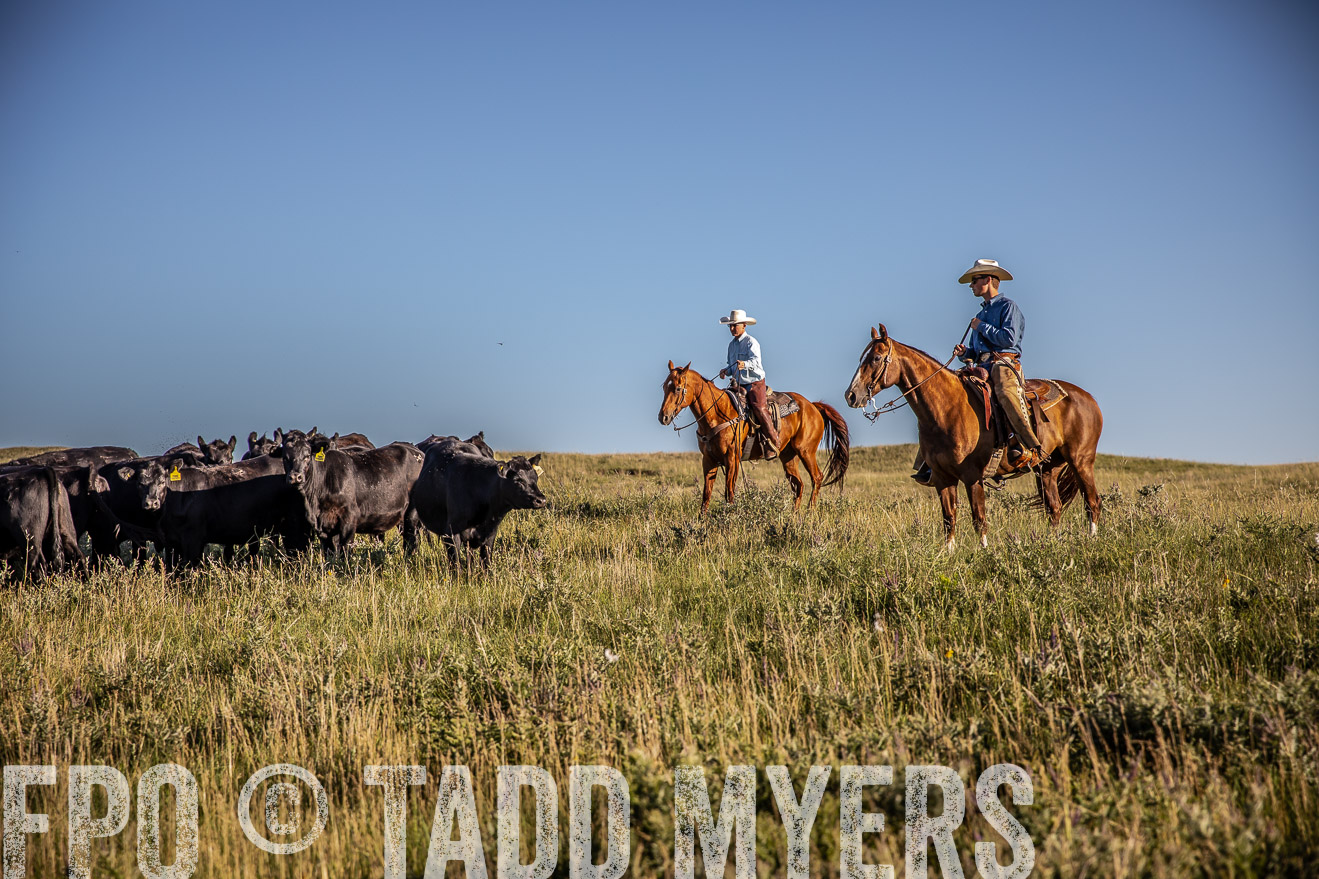 PP_TuckerRanch_NE_July2019-42041