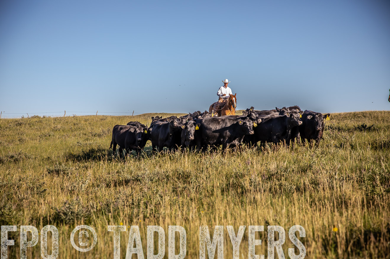 PP_TuckerRanch_NE_July2019-42044