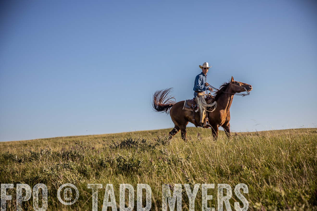 PP_TuckerRanch_NE_July2019-42047