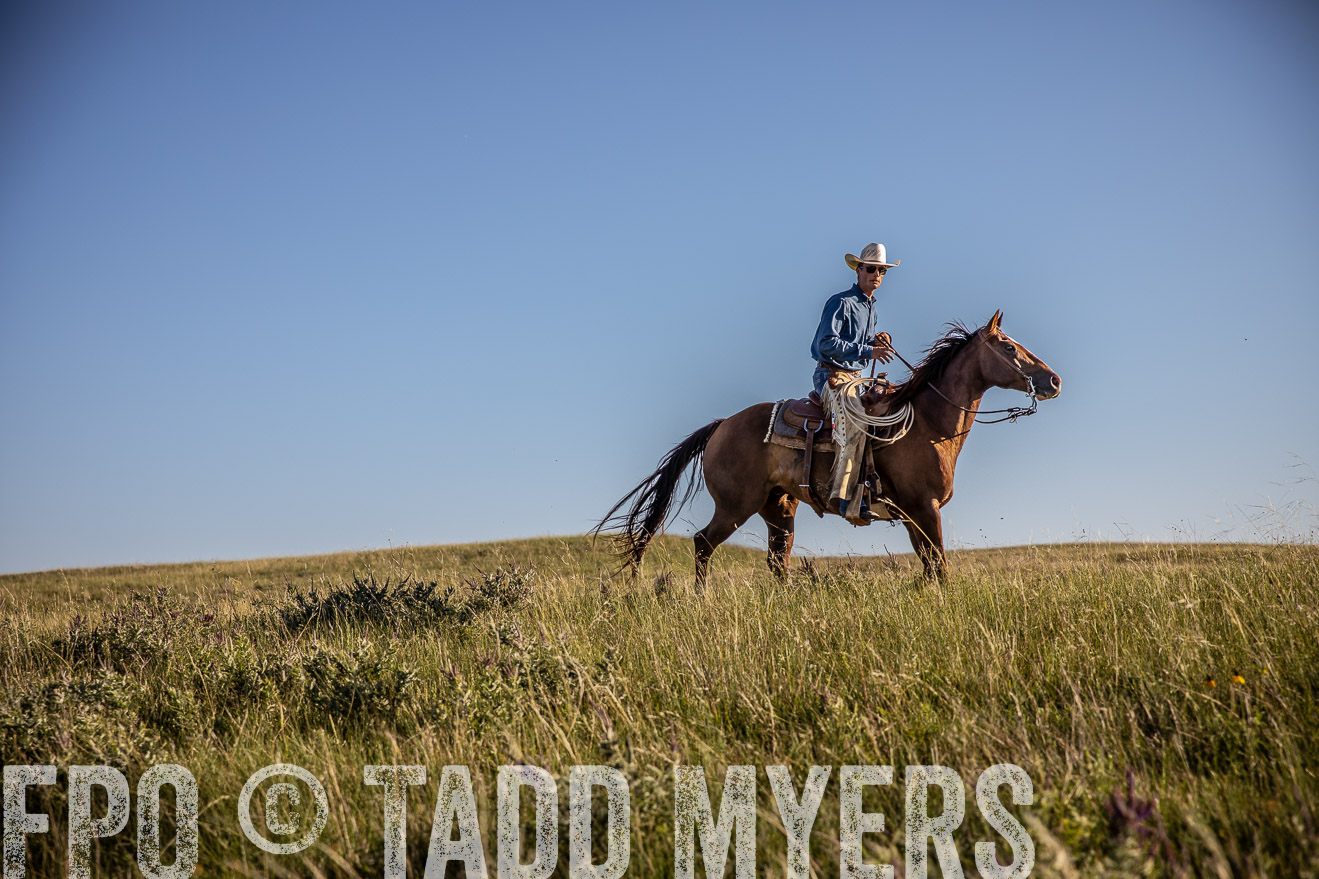 PP_TuckerRanch_NE_July2019-42048