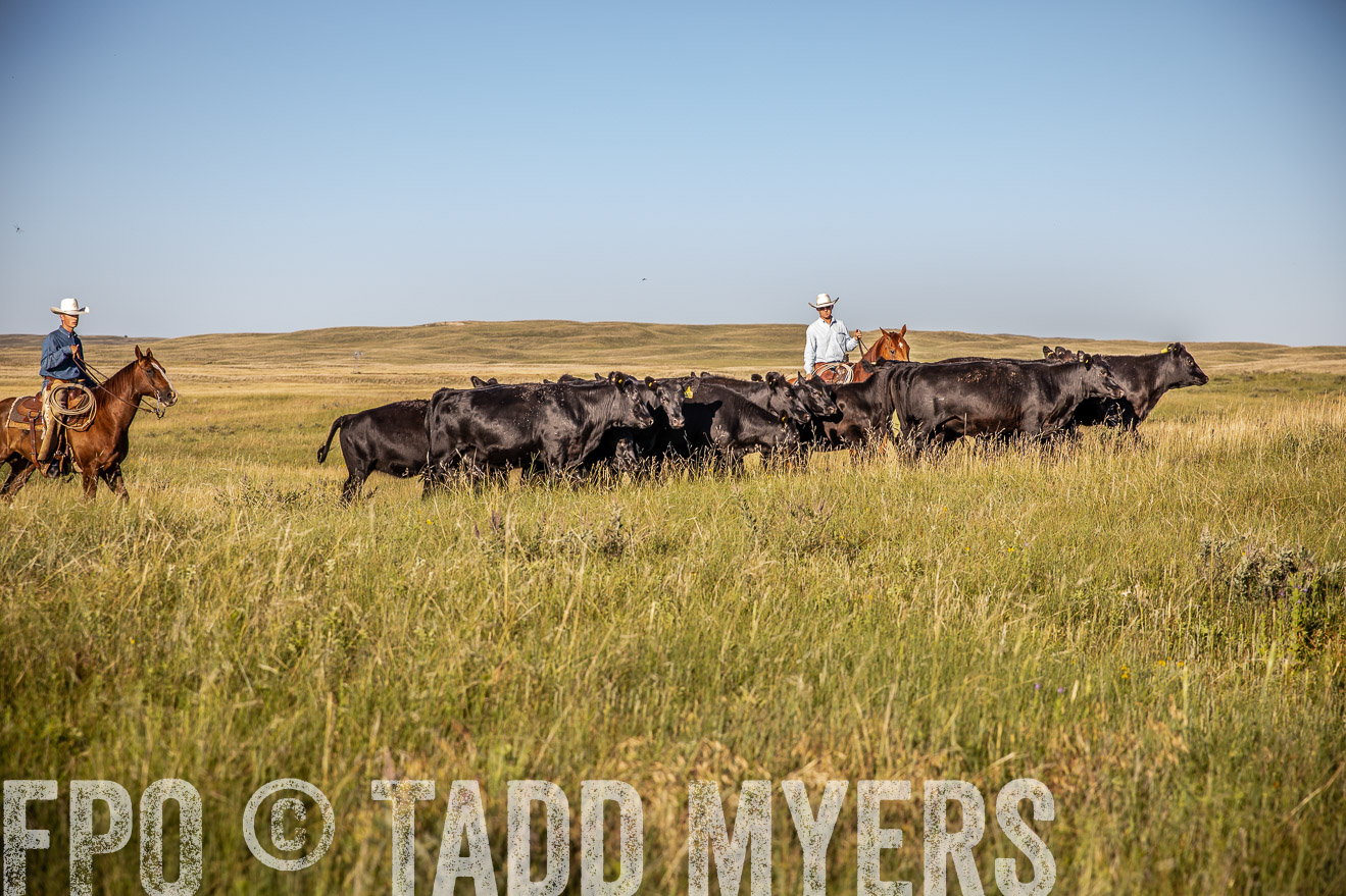 PP_TuckerRanch_NE_July2019-42056