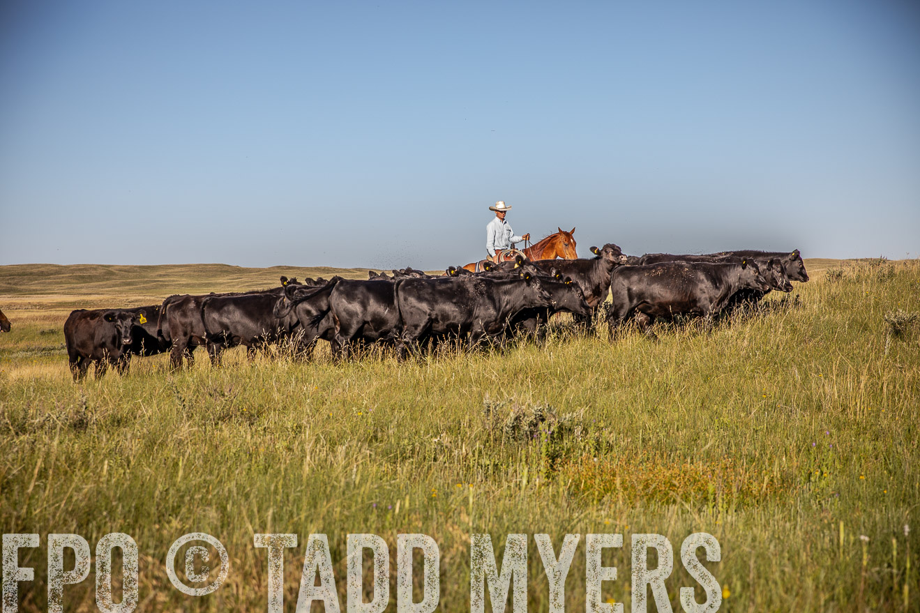 PP_TuckerRanch_NE_July2019-42057