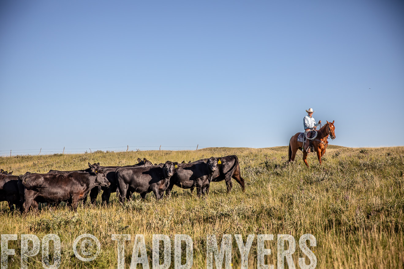 PP_TuckerRanch_NE_July2019-42062