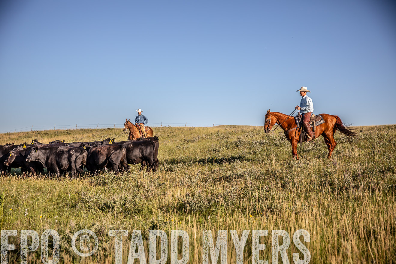 PP_TuckerRanch_NE_July2019-42064