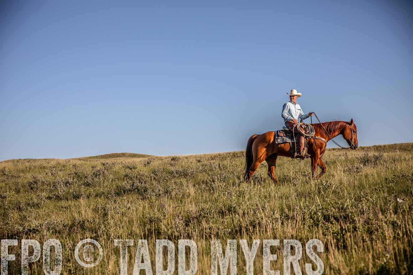 PP_TuckerRanch_NE_July2019-42066