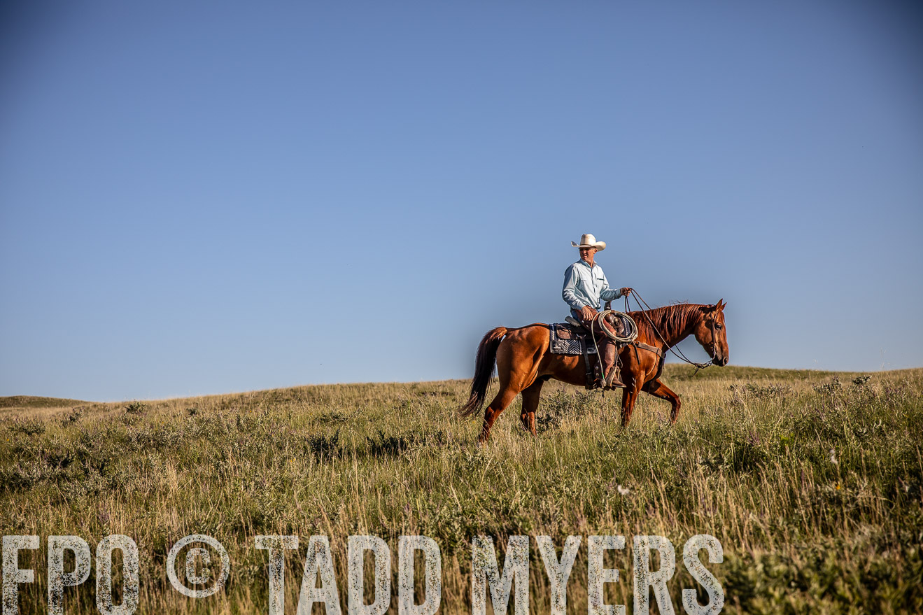 PP_TuckerRanch_NE_July2019-42067