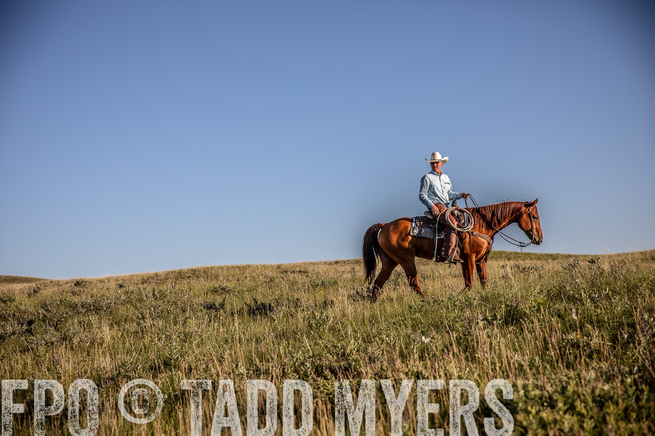 PP_TuckerRanch_NE_July2019-42068
