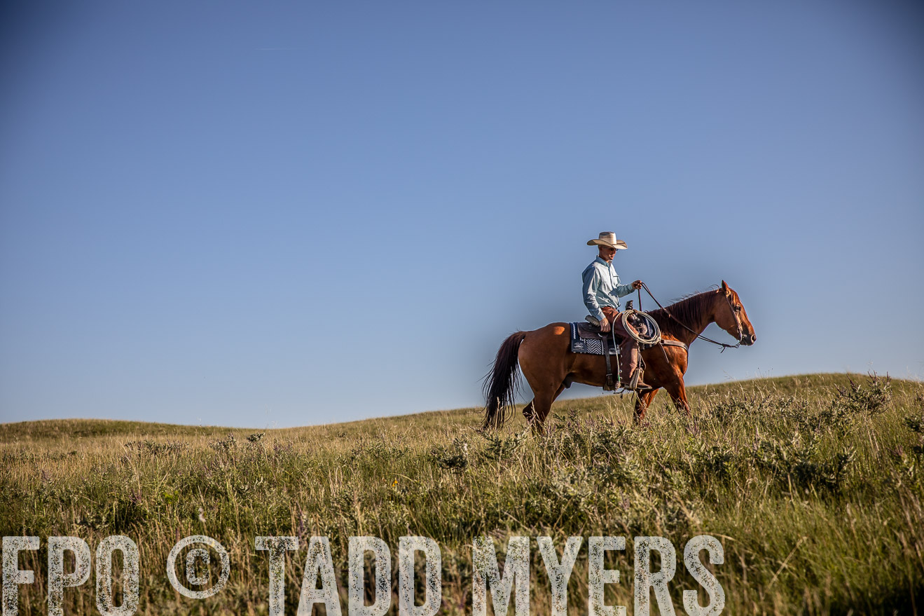 PP_TuckerRanch_NE_July2019-42072