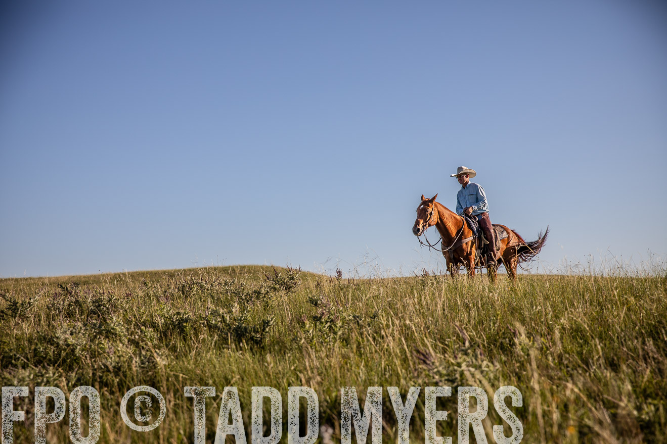 PP_TuckerRanch_NE_July2019-42079
