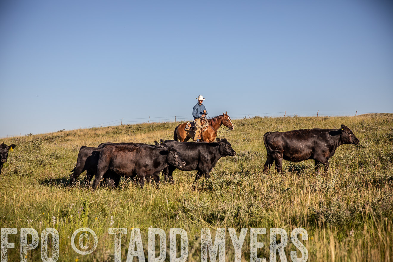 PP_TuckerRanch_NE_July2019-42083
