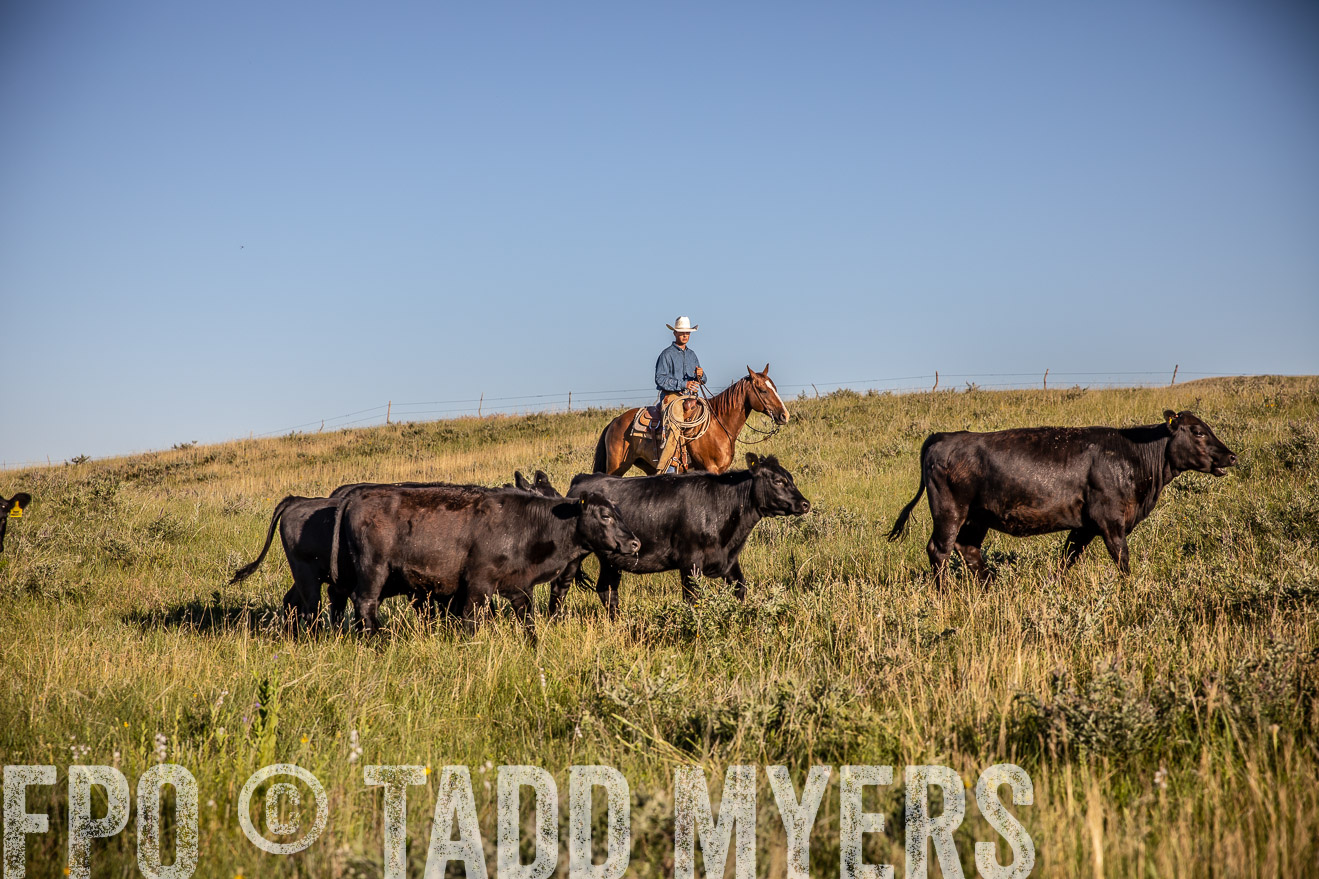 PP_TuckerRanch_NE_July2019-42084