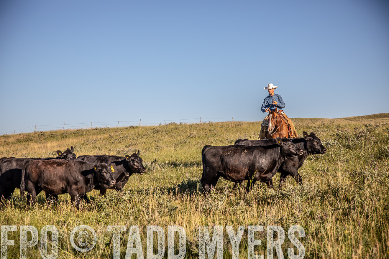 PP_TuckerRanch_NE_July2019-42085
