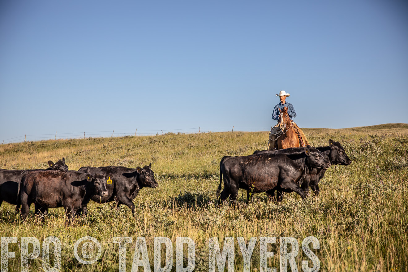 PP_TuckerRanch_NE_July2019-42086