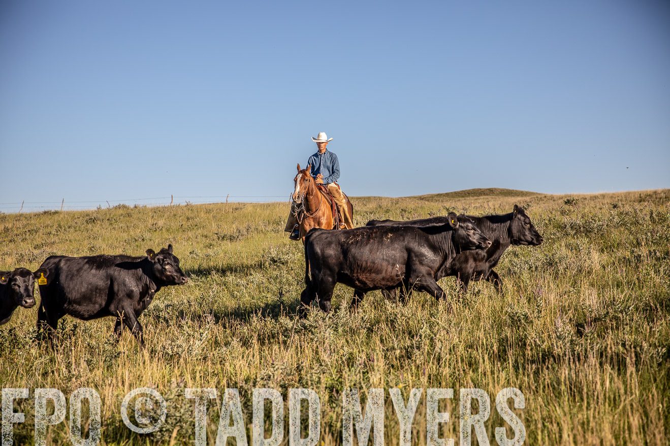 PP_TuckerRanch_NE_July2019-42087