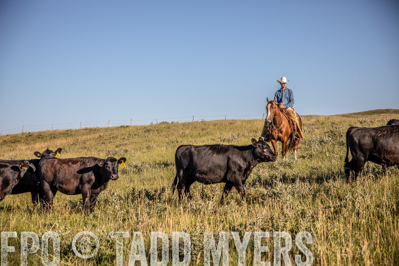 PP_TuckerRanch_NE_July2019-42088