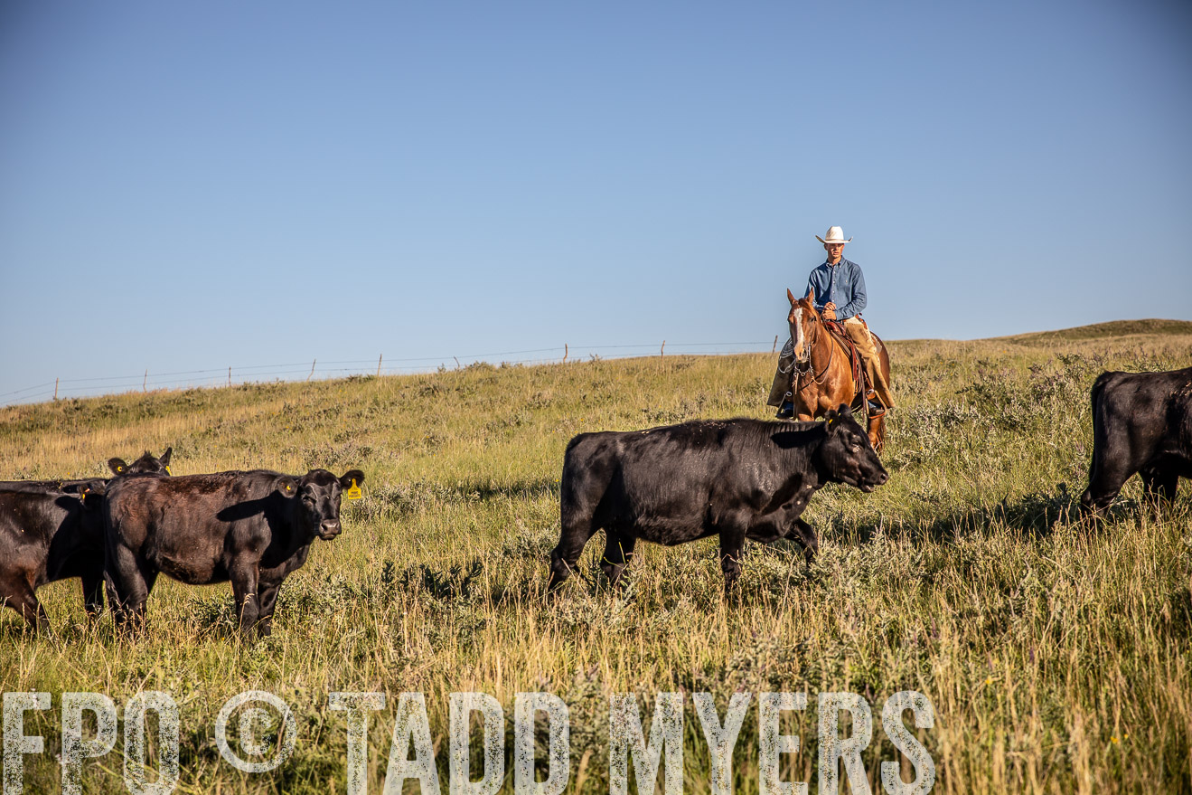 PP_TuckerRanch_NE_July2019-42089