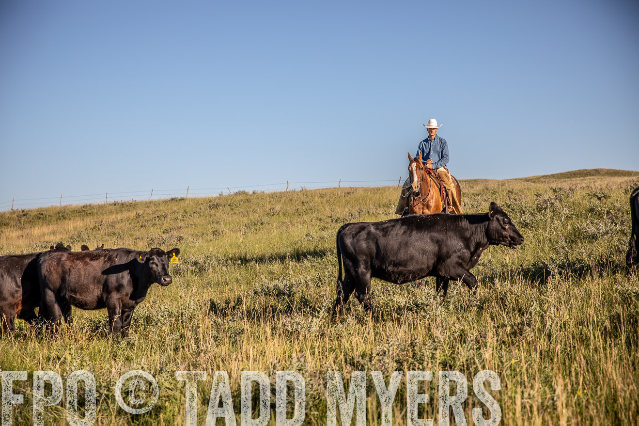 PP_TuckerRanch_NE_July2019-42090