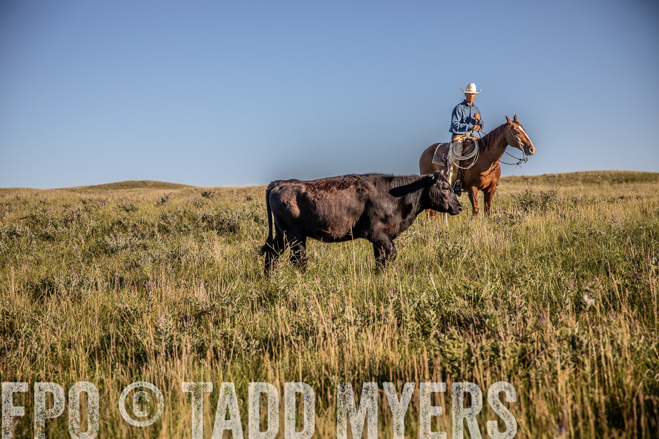 PP_TuckerRanch_NE_July2019-42094