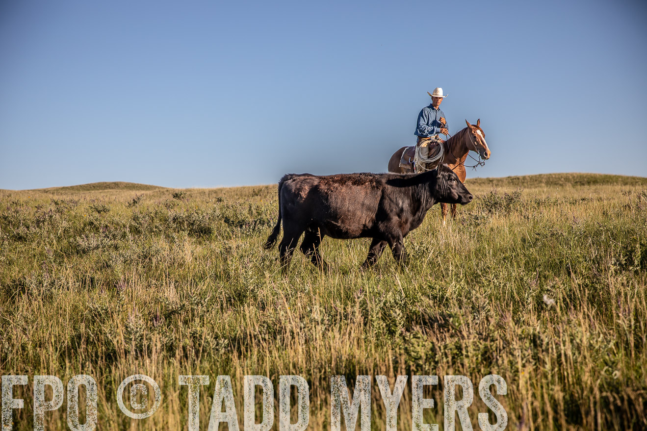 PP_TuckerRanch_NE_July2019-42095