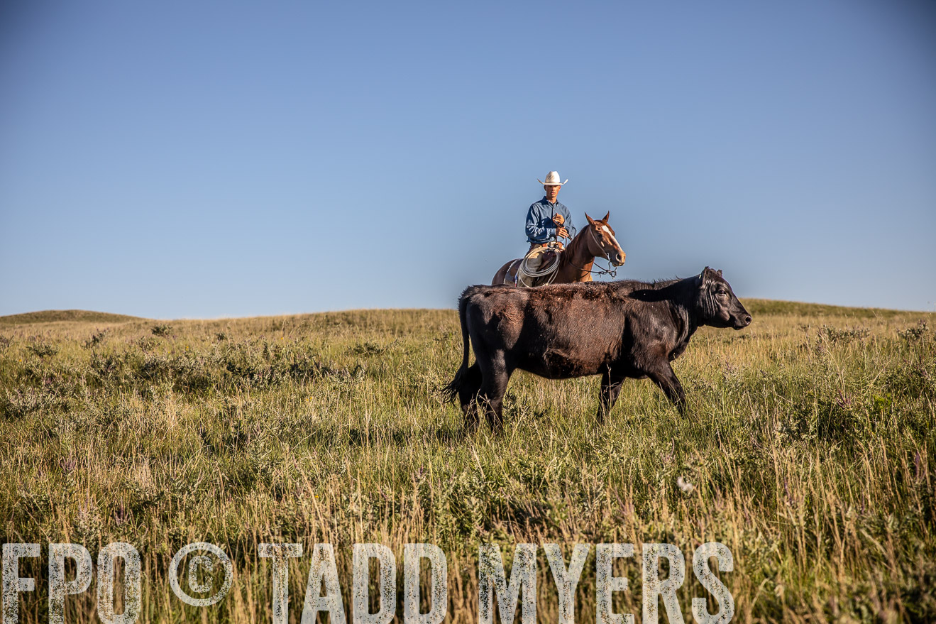 PP_TuckerRanch_NE_July2019-42096