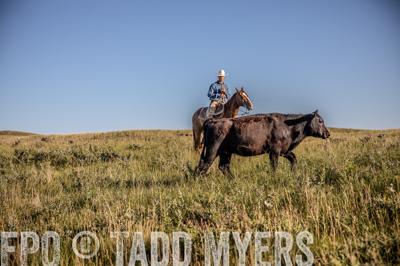 PP_TuckerRanch_NE_July2019-42097