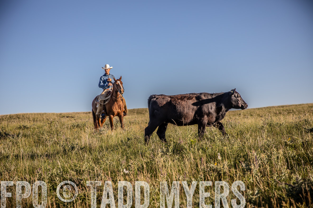 PP_TuckerRanch_NE_July2019-42099