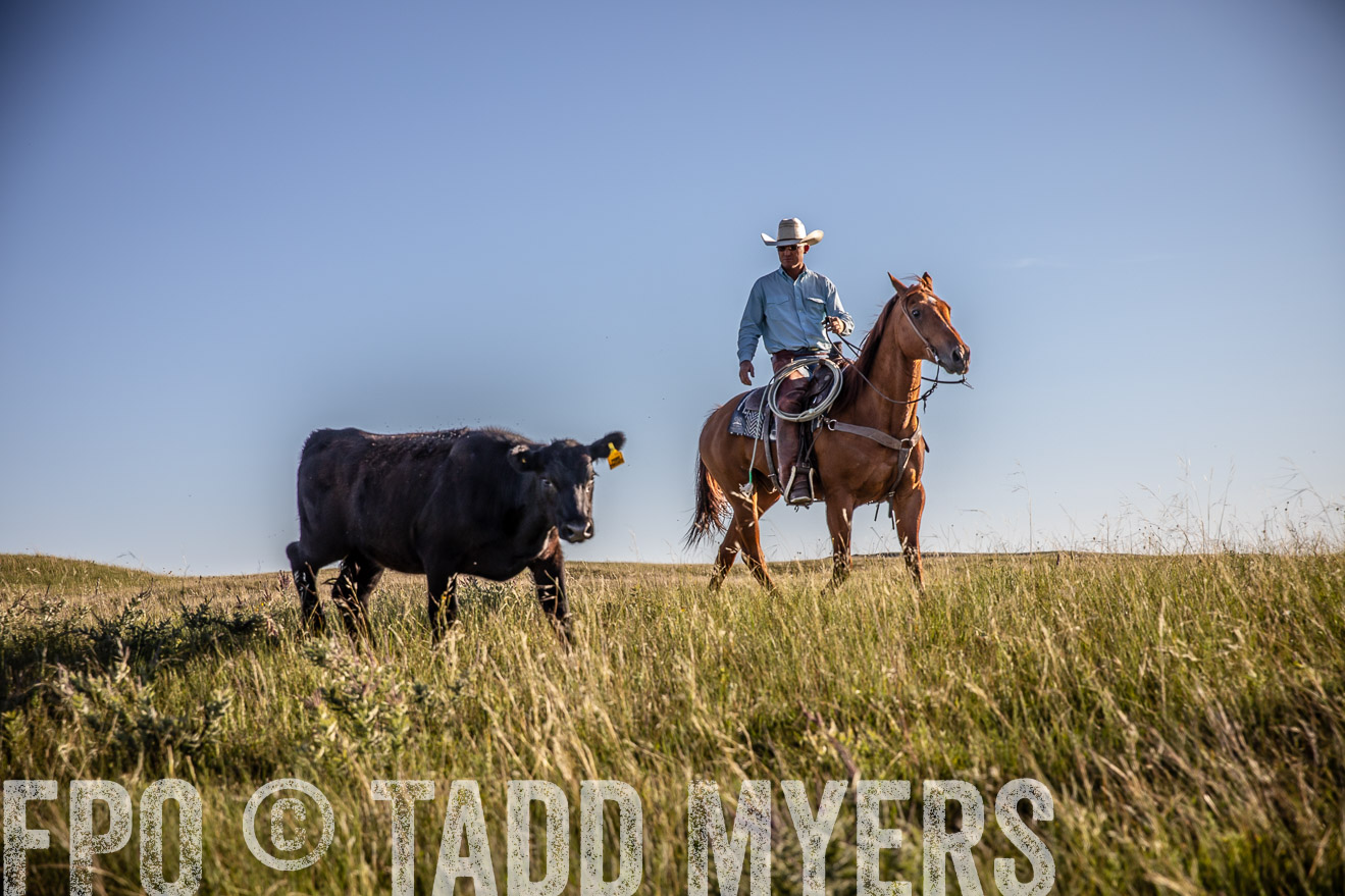 PP_TuckerRanch_NE_July2019-42106